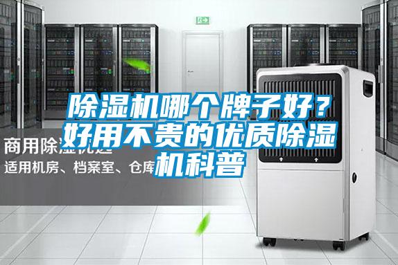 除濕機哪個牌子好?好用不貴的優質除濕機科普