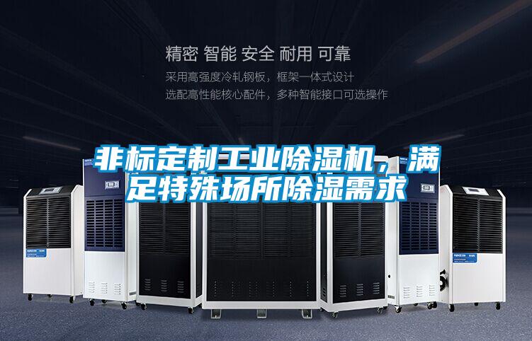 非標定制工業除濕機，滿足特殊場所除濕需求