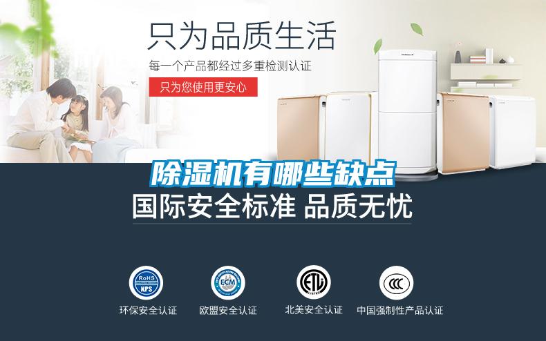 除濕機(jī)有哪些缺點