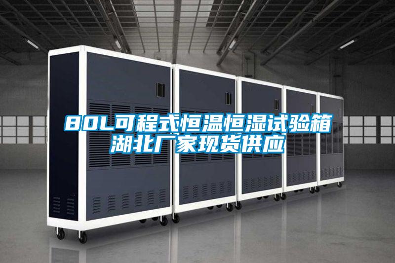 80L可程式恒溫恒濕試驗(yàn)箱湖北廠家現(xiàn)貨供應(yīng)