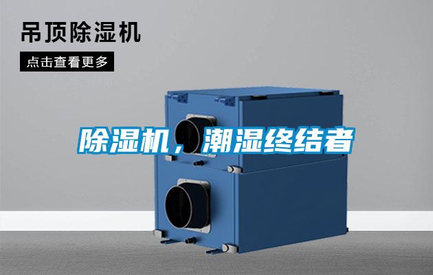 除濕機，潮濕終結者