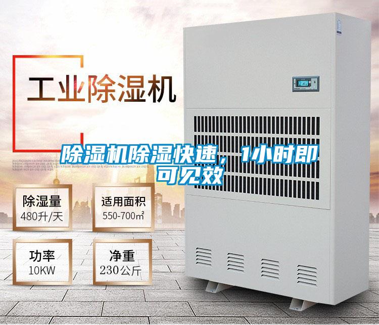 除濕機除濕快速，1小時即可見效