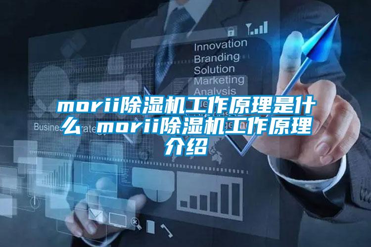 morii除濕機工作原理是什么 morii除濕機工作原理介紹
