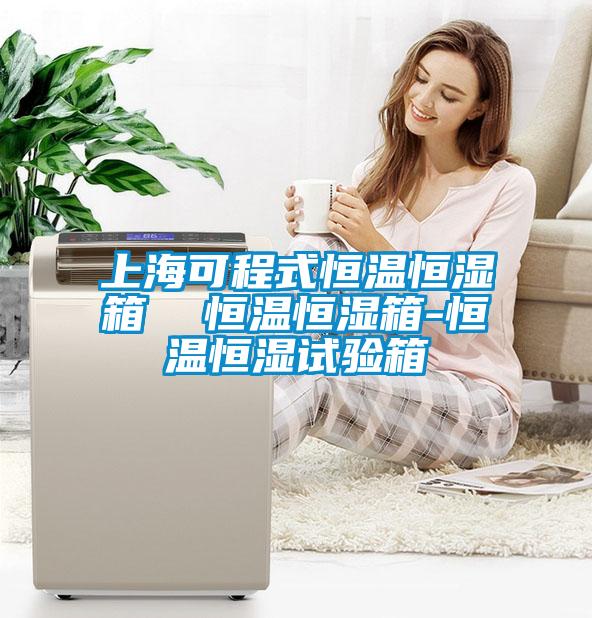 上?？沙淌胶銣睾銤裣? 恒溫恒濕箱-恒溫恒濕試驗(yàn)箱