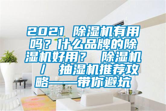 2021 除濕機有用嗎？什么品牌的除濕機好用？ 除濕機 ／ 抽濕機推薦攻略——帶你避坑