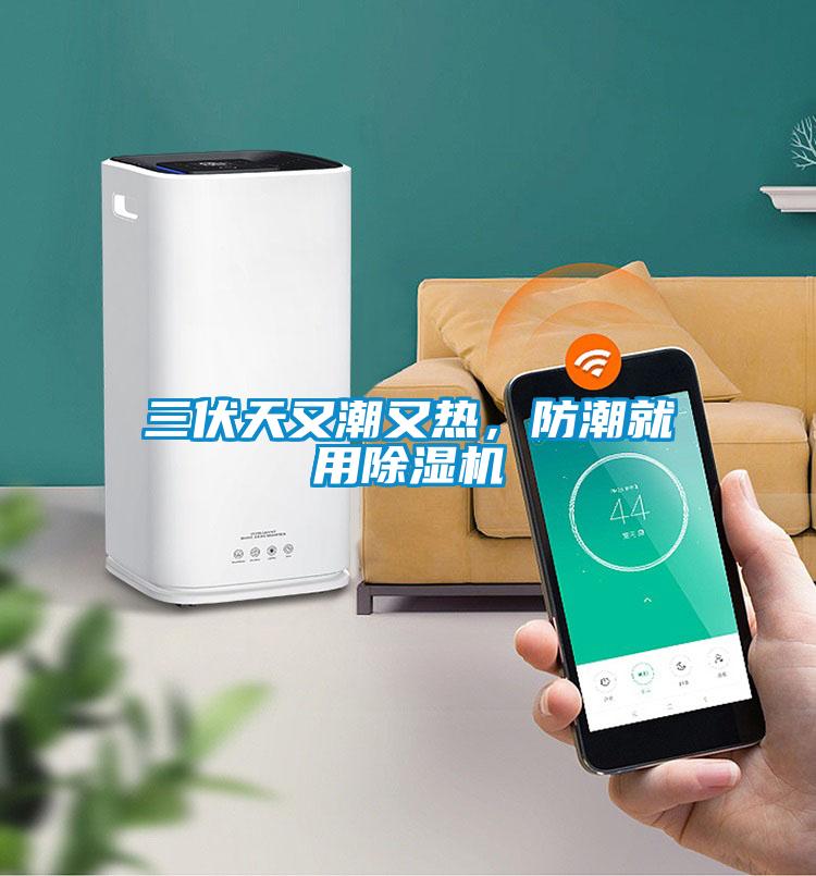 三伏天又潮又熱,防潮就用除濕機(jī)
