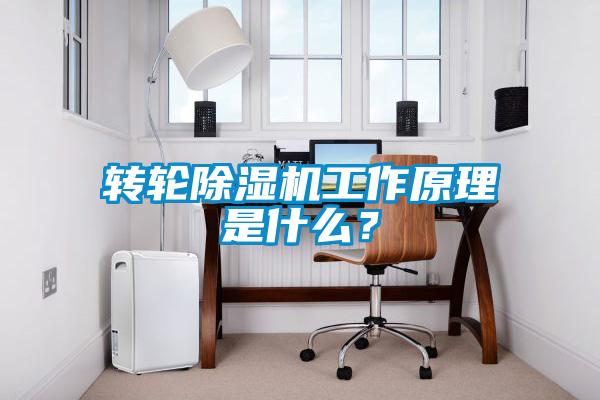 轉輪除濕機工作原理是什么？