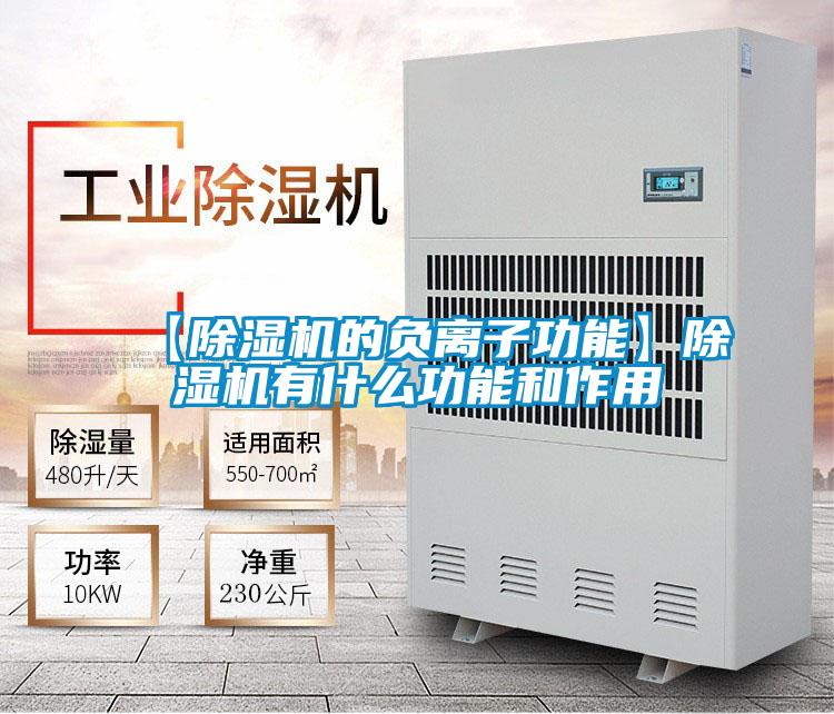 【除濕機的負離子功能】除濕機有什么功能和作用