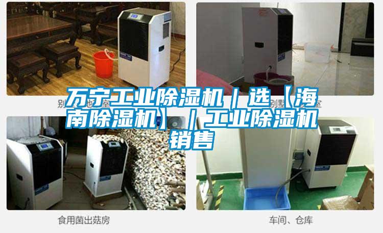 萬寧工業除濕機|選【海南除濕機】|工業除濕機銷售
