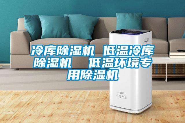 冷庫(kù)除濕機(jī) 低溫冷庫(kù)除濕機(jī)  低溫環(huán)境專用除濕機(jī)