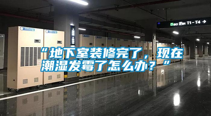 “地下室裝修完了，現在潮濕發霉了怎么辦？”