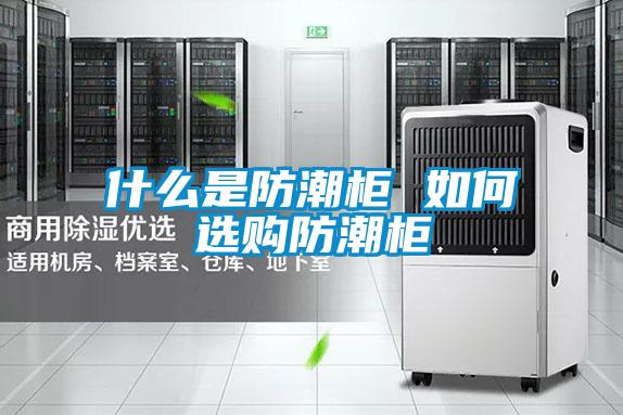 什么是防潮柜 如何選購(gòu)防潮柜