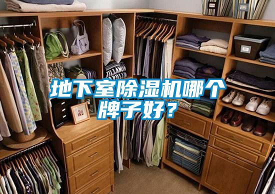 地下室除濕機(jī)哪個牌子好?