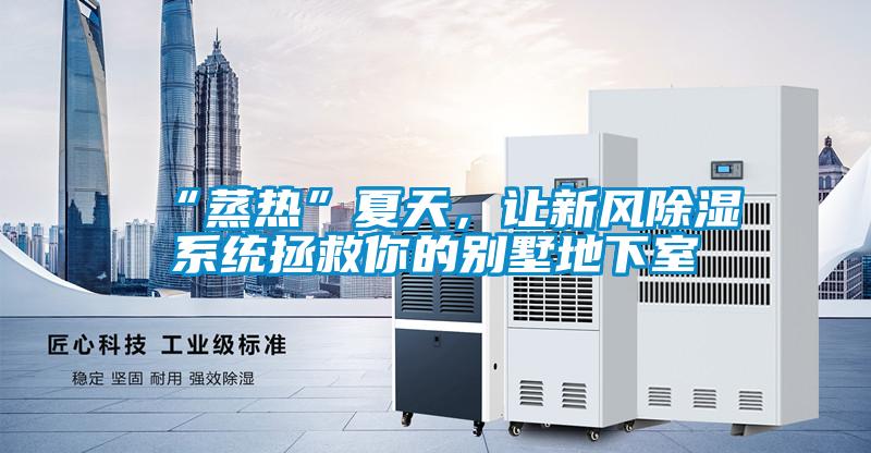 “蒸熱”夏天，讓新風除濕系統拯救你的別墅地下室