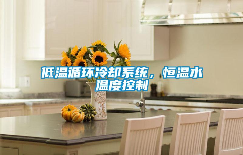 低溫循環冷卻系統，恒溫水溫度控制