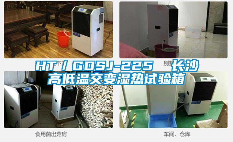 HT/GDSJ-225 長沙高低溫交變濕熱試驗箱