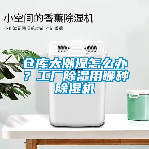 倉(cāng)庫(kù)太潮濕怎么辦?工廠除濕用哪種除濕機(jī)