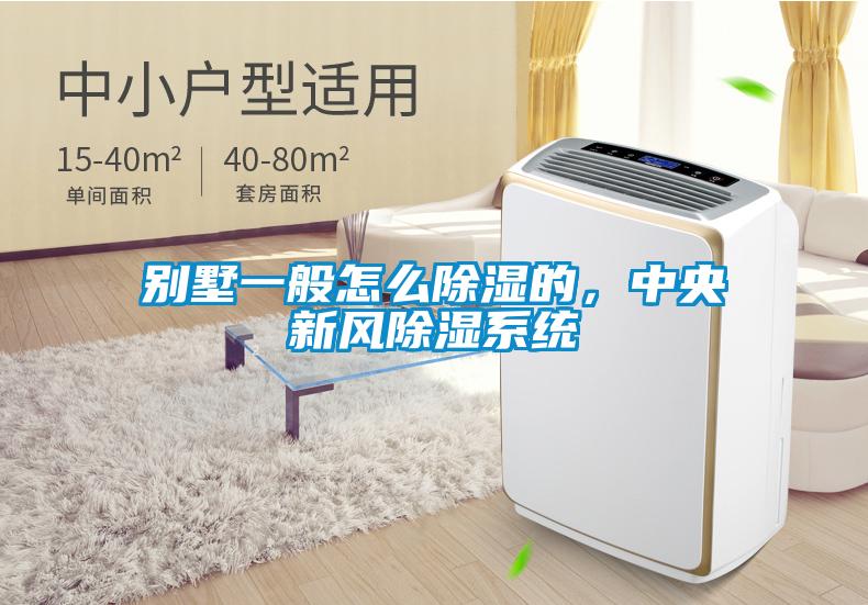 別墅一般怎么除濕的，中央新風除濕系統