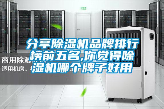 分享除濕機(jī)品牌排行榜前五名,你覺得除濕機(jī)哪個(gè)牌子好用