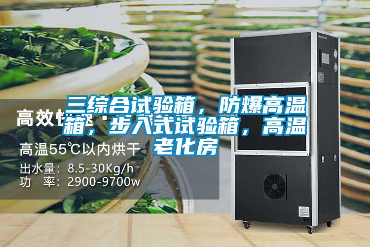 三綜合試驗箱,防爆高溫箱,步入式試驗箱,高溫老化房