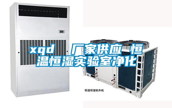 xqd 廠家供應 恒溫恒濕實驗室凈化