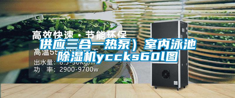 供應三合一熱泵)室內泳池除濕機yccks60l圖