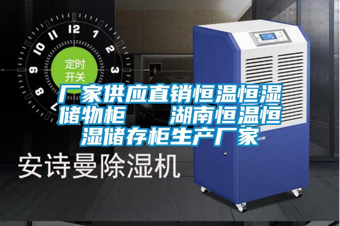 廠家供應(yīng)直銷恒溫恒濕儲物柜   湖南恒溫恒濕儲存柜生產(chǎn)廠家