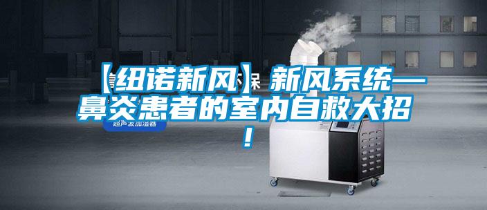 【紐諾新風】新風系統—鼻炎患者的室內自救大招!