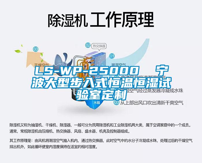 LS-WP-25000 寧波大型步入式恒溫恒濕試驗室定制