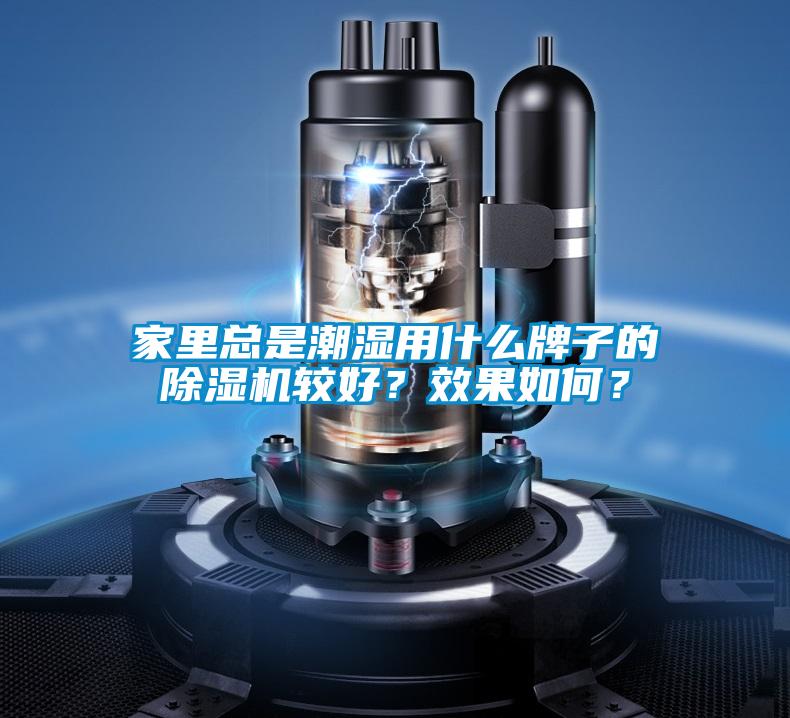 家里總是潮濕用什么牌子的除濕機較好？效果如何？
