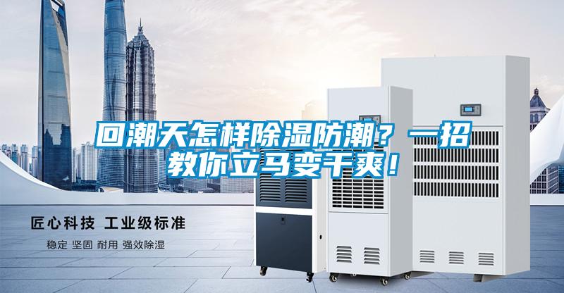 回潮天怎樣除濕防潮？一招教你立馬變干爽！