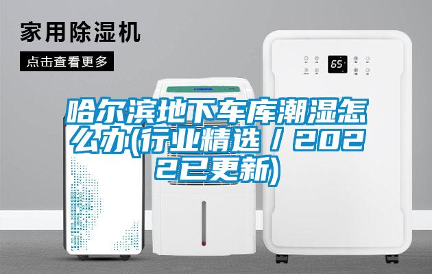 哈爾濱地下車庫(kù)潮濕怎么辦(行業(yè)精選／2022已更新)