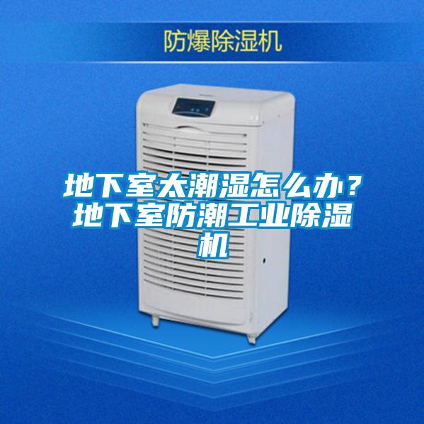 地下室太潮濕怎么辦?地下室防潮工業除濕機