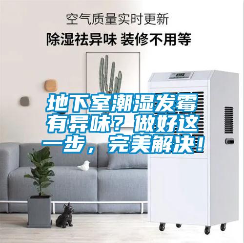 地下室潮濕發(fā)霉有異味？做好這一步，完美解決！