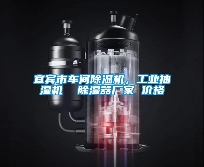 宜賓市車間除濕機，工業抽濕機  除濕器廠家 價格