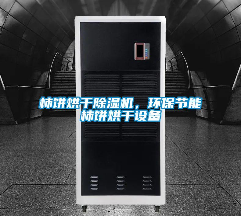 柿餅烘干除濕機，環保節能柿餅烘干設備