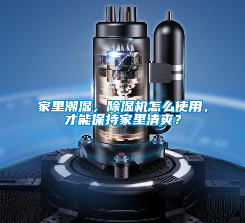 家里潮濕，除濕機怎么使用，才能保持家里清爽？