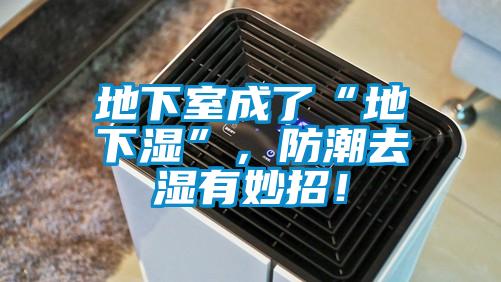 地下室成了“地下濕”,防潮去濕有妙招!