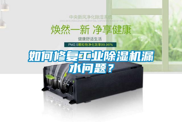 如何修復工業(yè)除濕機漏水問題?