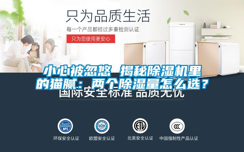 小心被忽悠 揭秘除濕機(jī)里的貓膩:兩個(gè)除濕量怎么選?