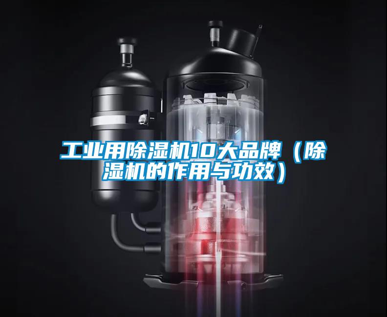 工業用除濕機10大品牌(除濕機的作用與功效)