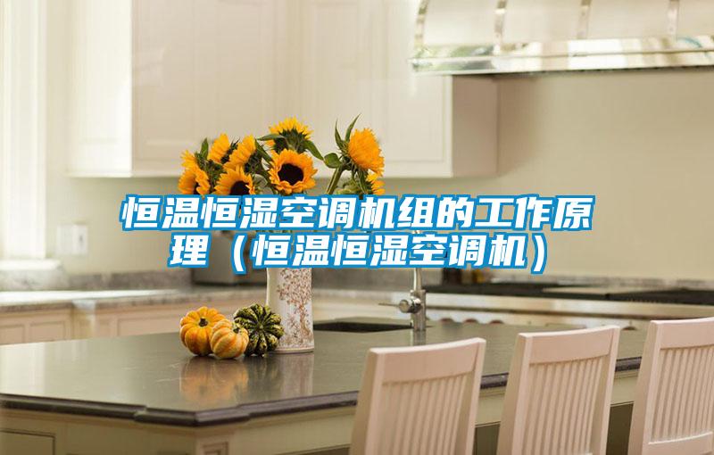 恒溫恒濕空調機組的工作原理(恒溫恒濕空調機)
