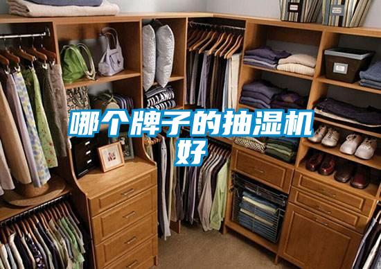 哪個(gè)牌子的抽濕機(jī)好