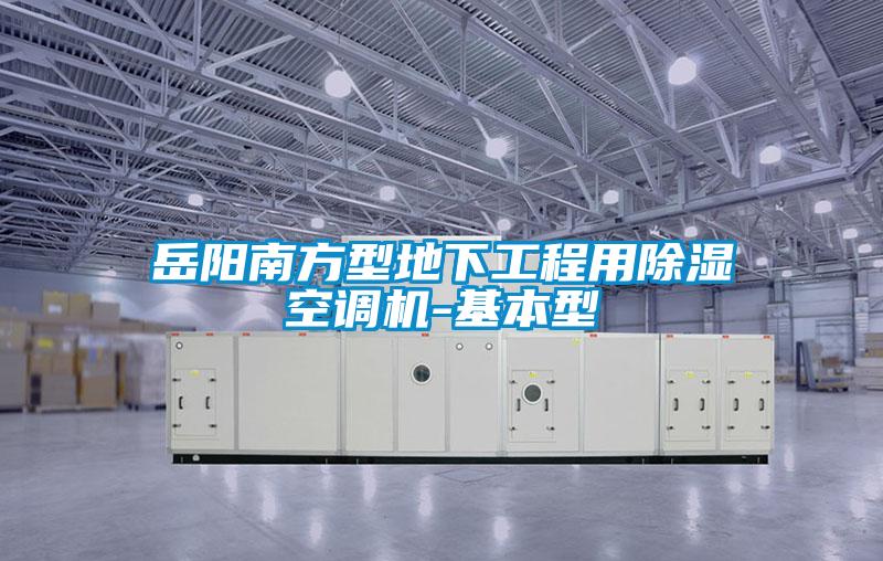 岳陽(yáng)南方型地下工程用除濕空調(diào)機(jī)-基本型