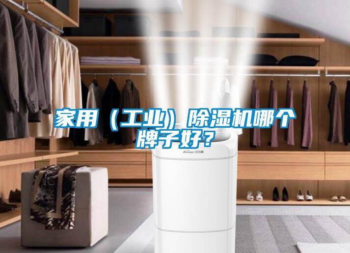 家用（工業）除濕機哪個牌子好？