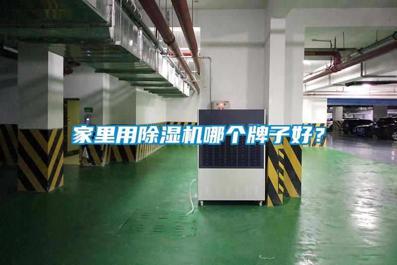 家里用除濕機(jī)哪個牌子好?