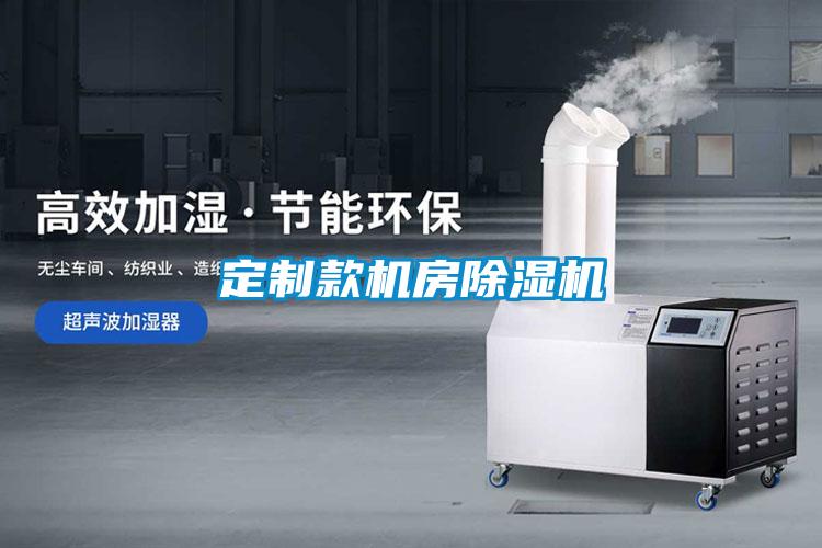 定制款機房除濕機