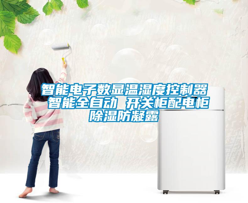 智能電子數顯溫濕度控制器 智能全自動 開關柜配電柜除濕防凝露