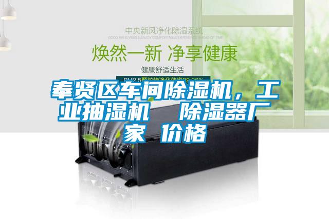 奉賢區(qū)車間除濕機,工業(yè)抽濕機 除濕器廠家 價格