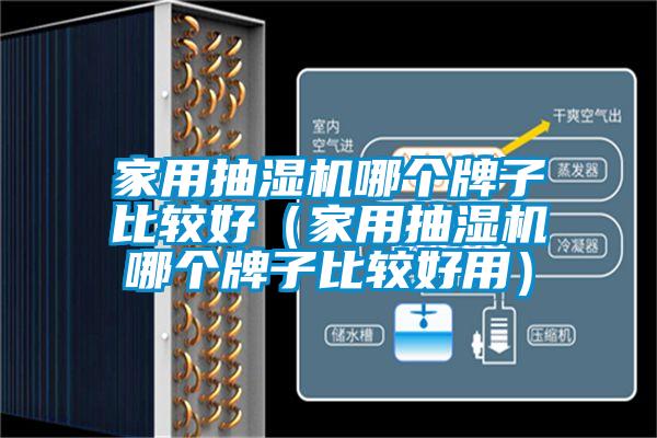 家用抽濕機(jī)哪個牌子比較好(家用抽濕機(jī)哪個牌子比較好用)